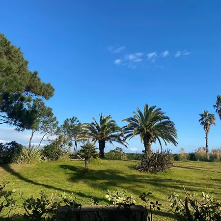 Appart hôtel Les Chenes Saint-Paul-lès-Dax