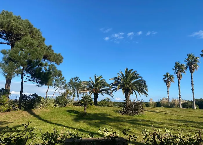 아파트호텔 Les Chenes Saint-Paul-lès-Dax